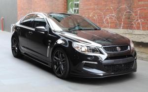 HSV Senator Signature (Gen-F2) '2017